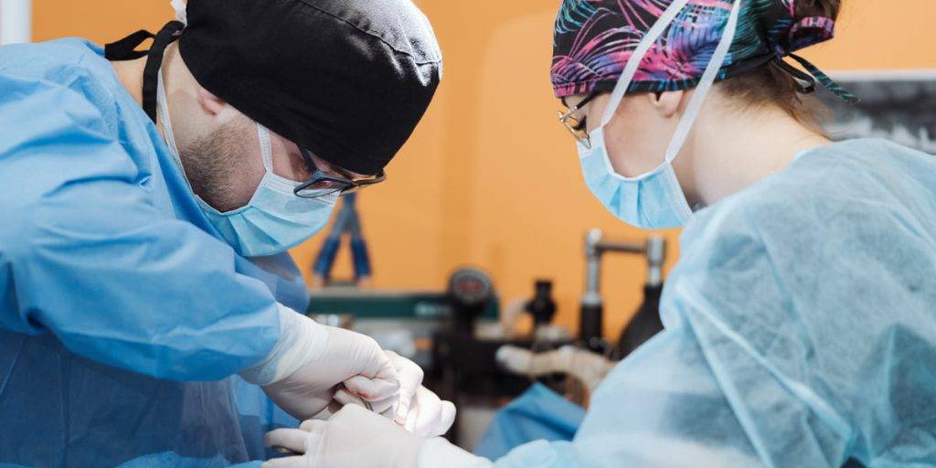 seisa medical device class ii